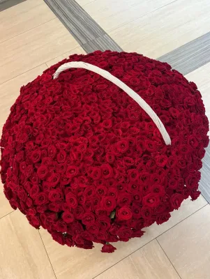 Гигантская корзина красных роз