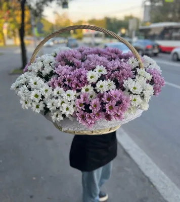 Корзина бело-сиреневых хризантем