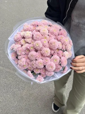 Букет розовых хризантем