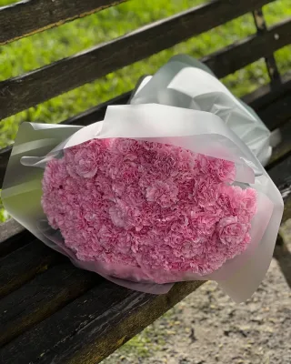 Букет розовых гвоздик (большой)