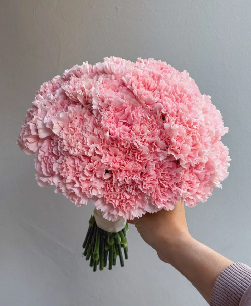 Pembe Karanfil Buketi